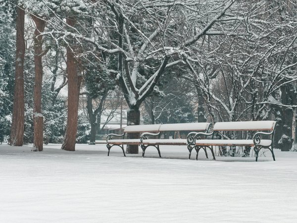 Nausées de grossesse : est-ce un signe de bon augure ?