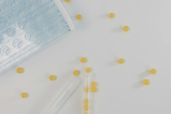 Diabète de type 2 chez les seniors : Ce que vous devez savoir